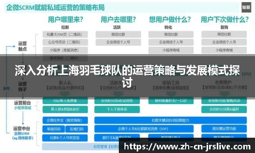 深入分析上海羽毛球队的运营策略与发展模式探讨